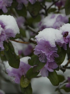 Detroit's Lafayette Park is National Historic Landmark
