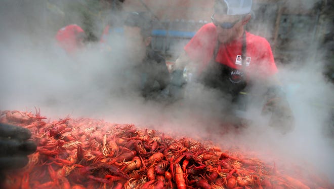 Tommy Herter with Mudbug Mike's out of Lafayette, Louisiana seasons a batch of mudbugs while cooking some 17,000 pounds of crawfish at the 25th annual Rajun Cajun Crawfish Festival Sunday afternoon.