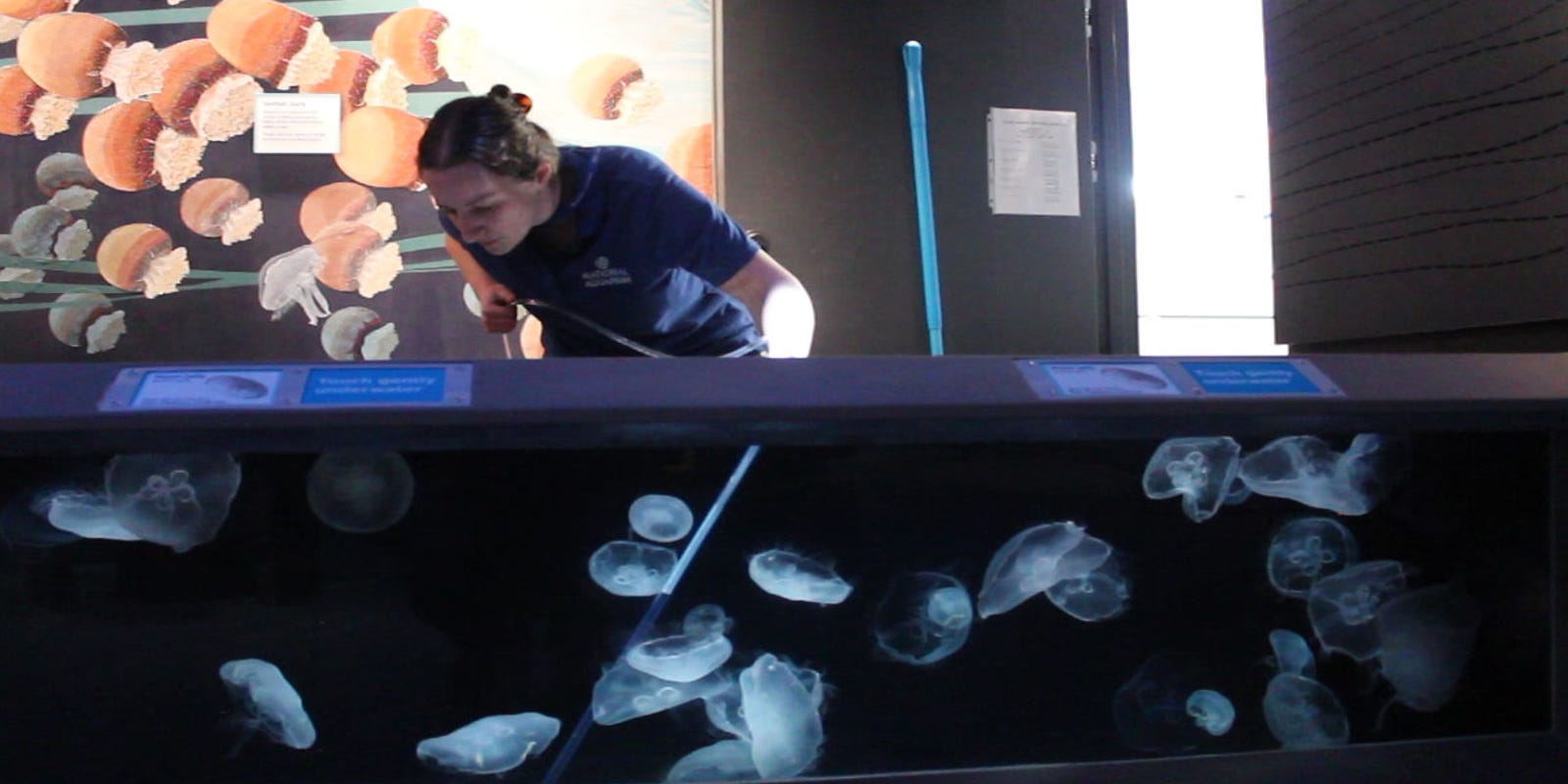 elbow grease keep national aquarium