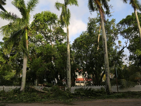 After Irma Edison Ford Winter Estates Intact Closed For Yard Work