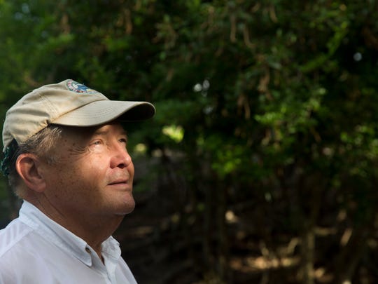 Historical 9.6 acres of Estero's Mound Key hits market for ...