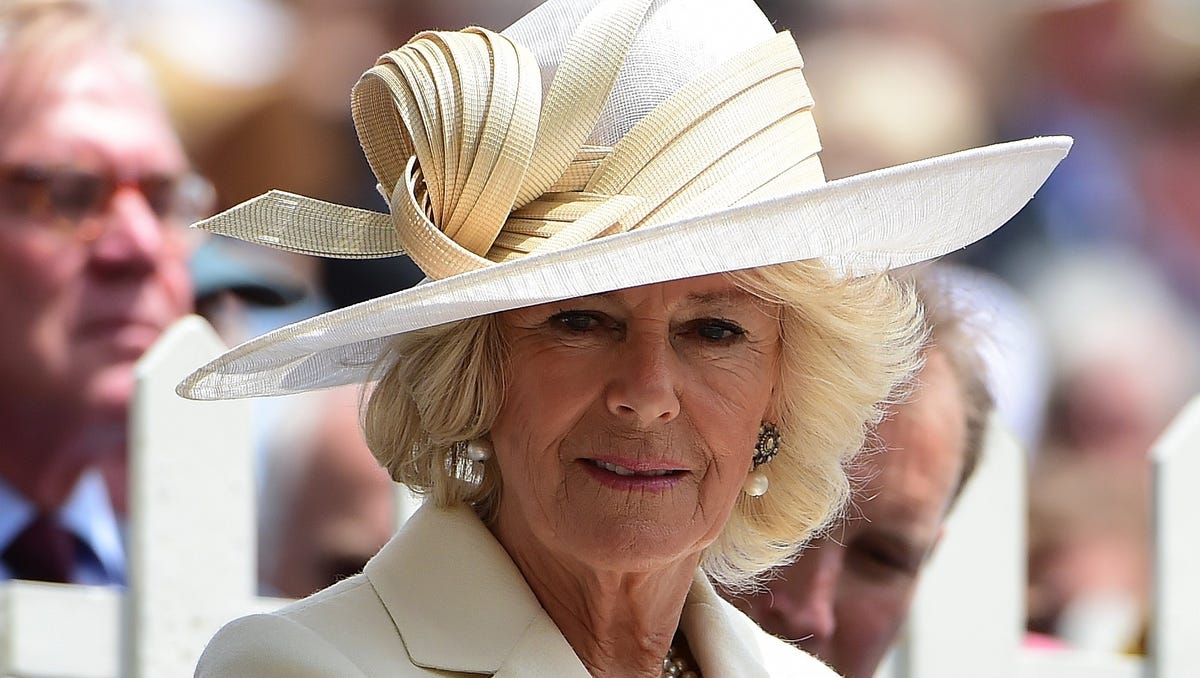 Queen Consort meaning Camilla's new royal title, explained