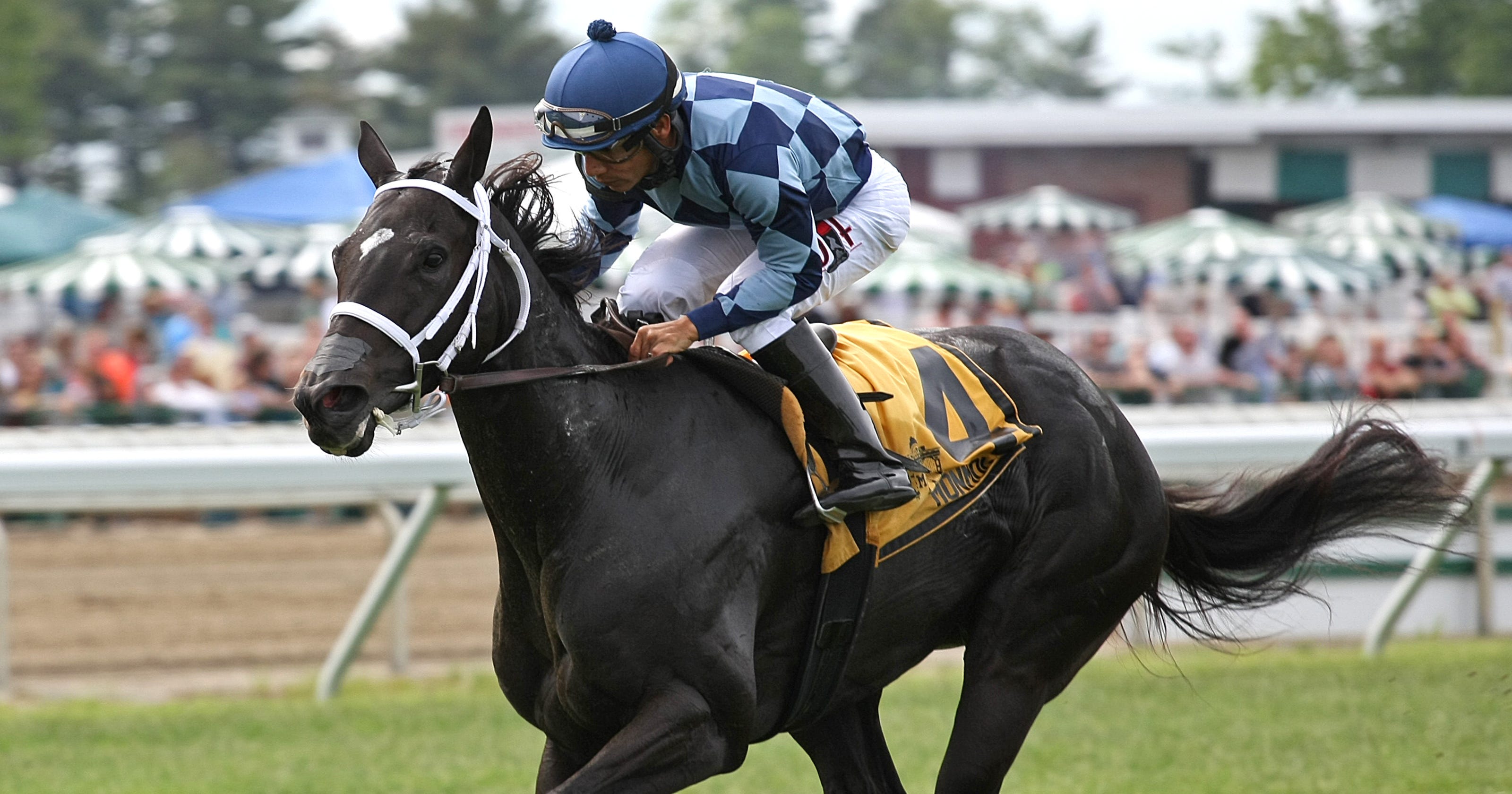 monmouth-park-other-nj-racetracks-eyed-for-historical-racing-machines