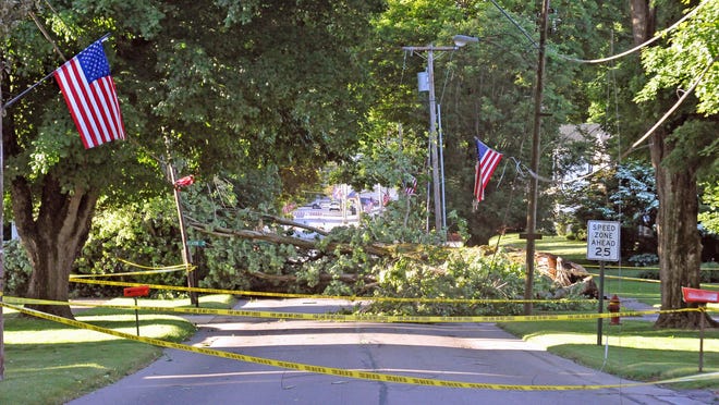 This tree stopped traffic in downtown Fredericksburg on Thursday morning. The tree fell during the quick-moving storm that moved through the area Wednesday evening.