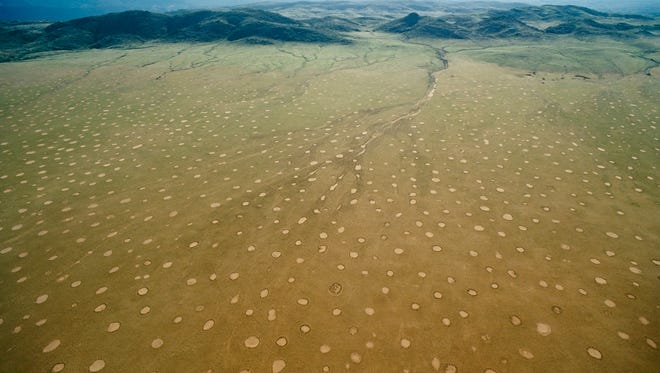 The mystery of the fairy circles in Namibia, Africa, may have been solved.