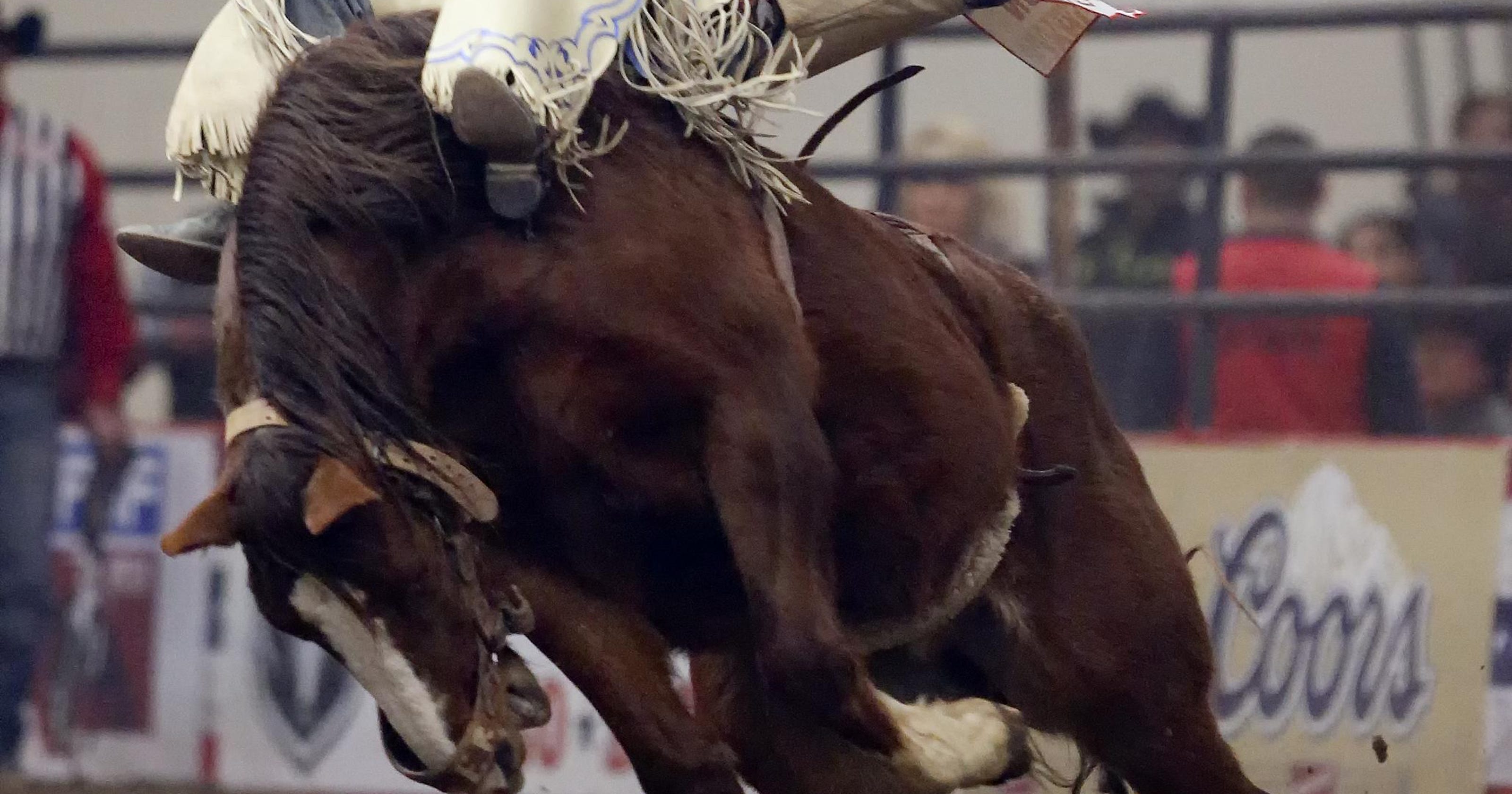 Rodeo: Montana Pro Rodeo Circuit Finals History Rodeo: Montana Pro Rodeo Circuit Finals History