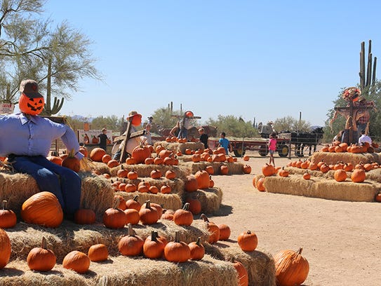 Leftover pumpkins at MacDonald’s Ranch in Scottsdale