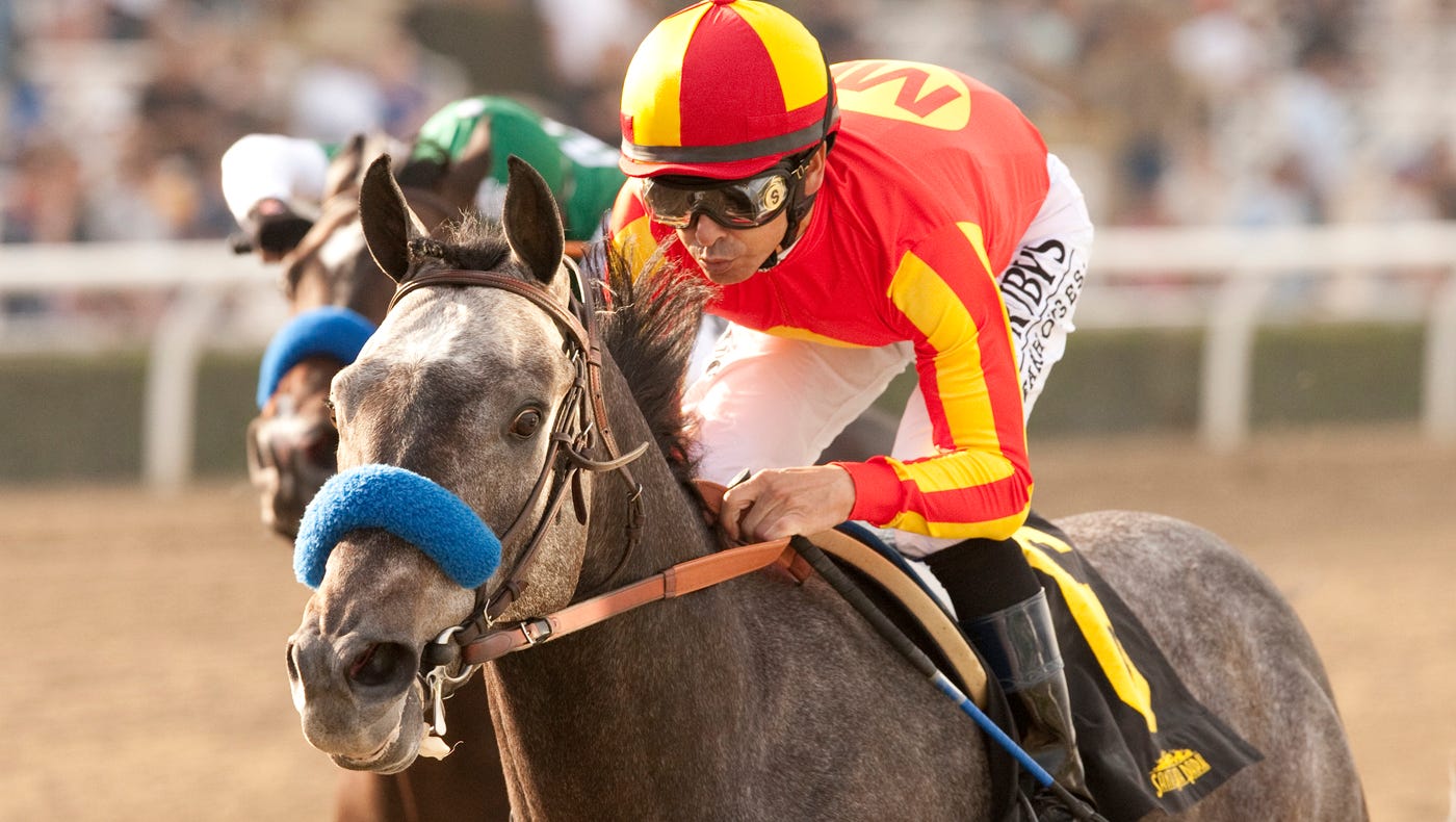 Midnight Hawk S Top Foe In Lewis Stakes Is Himself