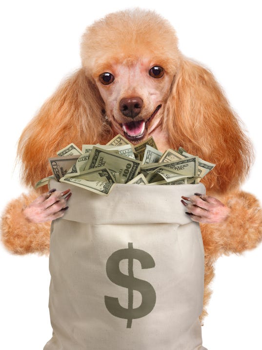 This Is How Much It Really Costs To Own A Dog Per Year