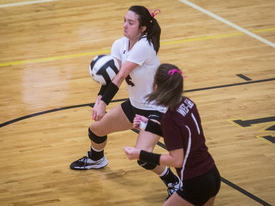 Wes-Del's Grace Bond passes against Cowan during their