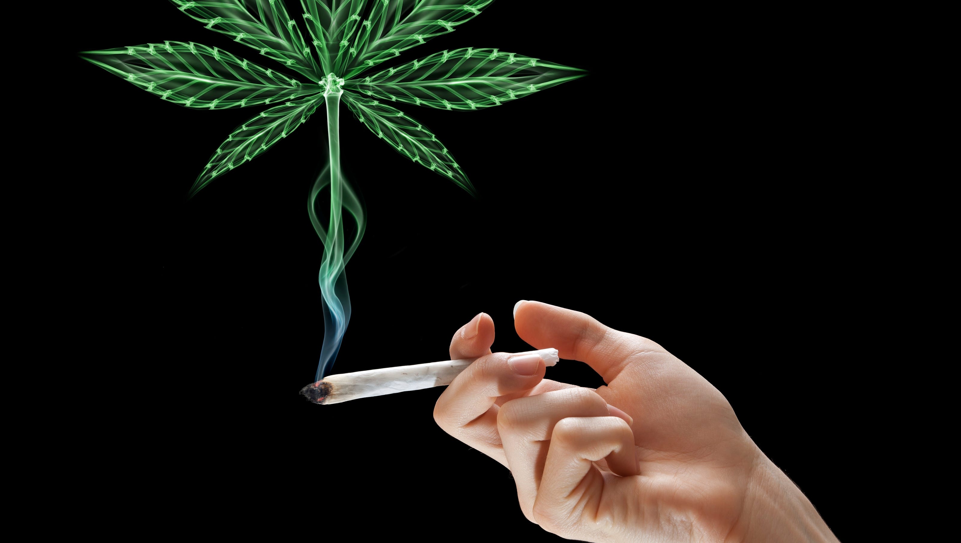 листья марихуаны курятся