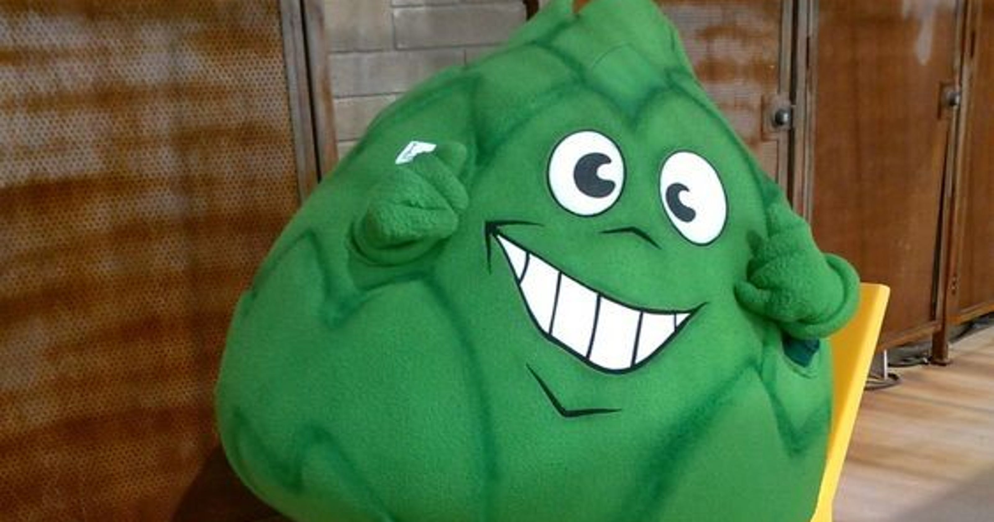 Is Scottsdale Community College's mascot really an artichoke?