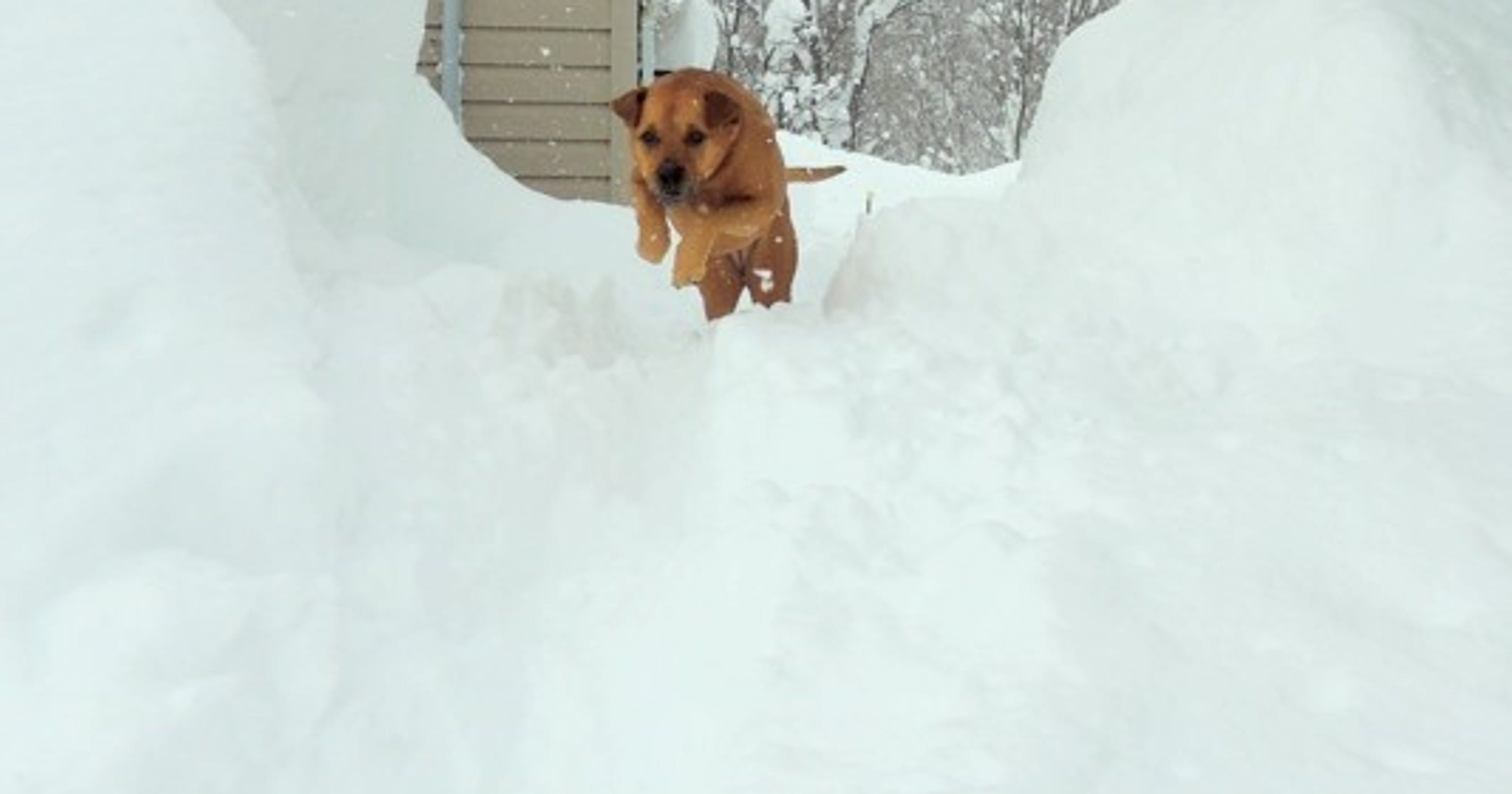 Snowiest Place In New York Has 25 Feet And Counting