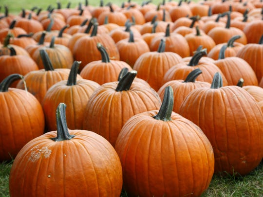 8 apple orchards and pumpkin patches in central Iowa
