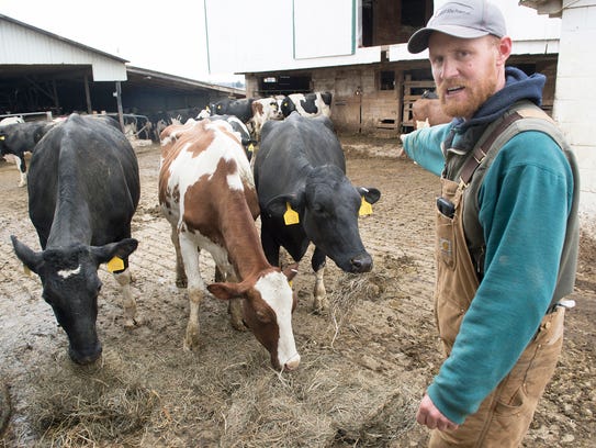 Jason Martin walks past feeding cows on his Waynesboro