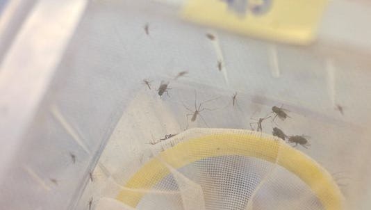 This Desert Sun file photo shows a Coachella Valley Mosquito and Vector Control trap. A sample out of Palm Desert tested positive for West Nile virus.