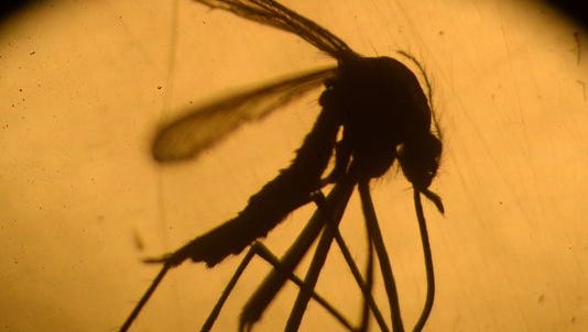 The Zika Virus has been confirmed in Butler County.