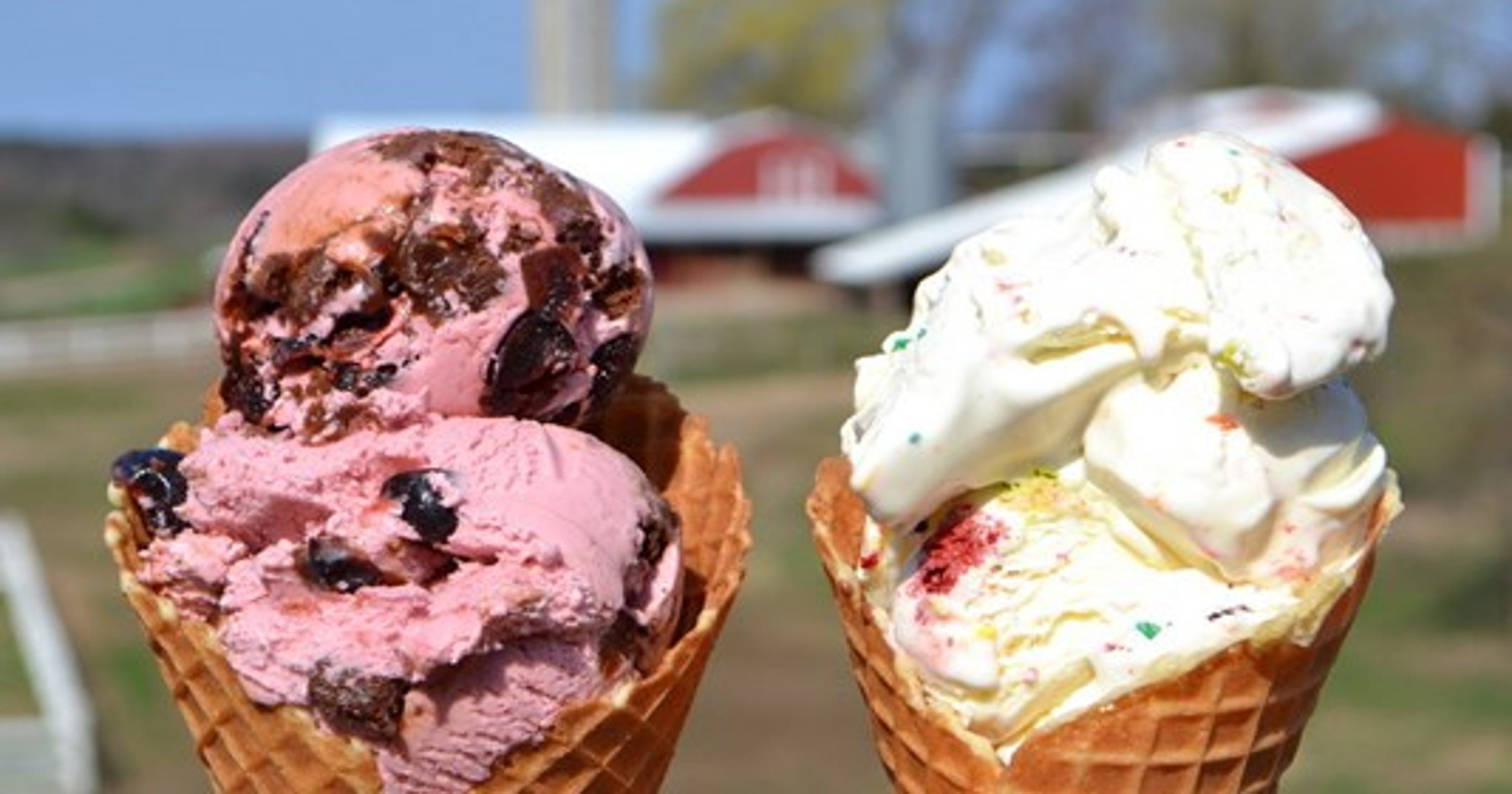 Traverse City ice cream parlor voted America's best