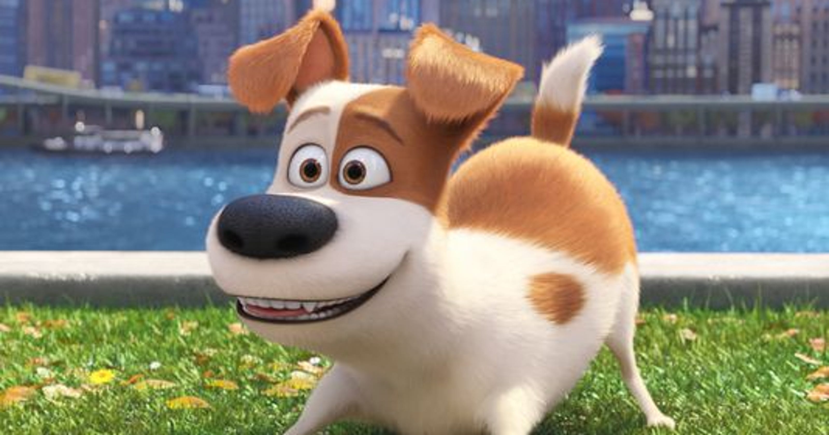'The Secret Life of Pets' It's just 'Toy Story' with pets