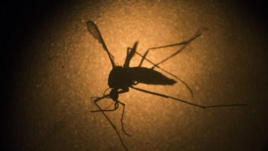 A person in Anderson County has died after contracting West Nile Virus, the South Carolina Department of Health and Environmental Control confirmed Thursday.