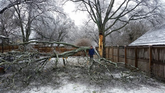 John Hagy, of Madison, poses in his backyard with the splintered tree that nearly fell on him during this week's ice storm.