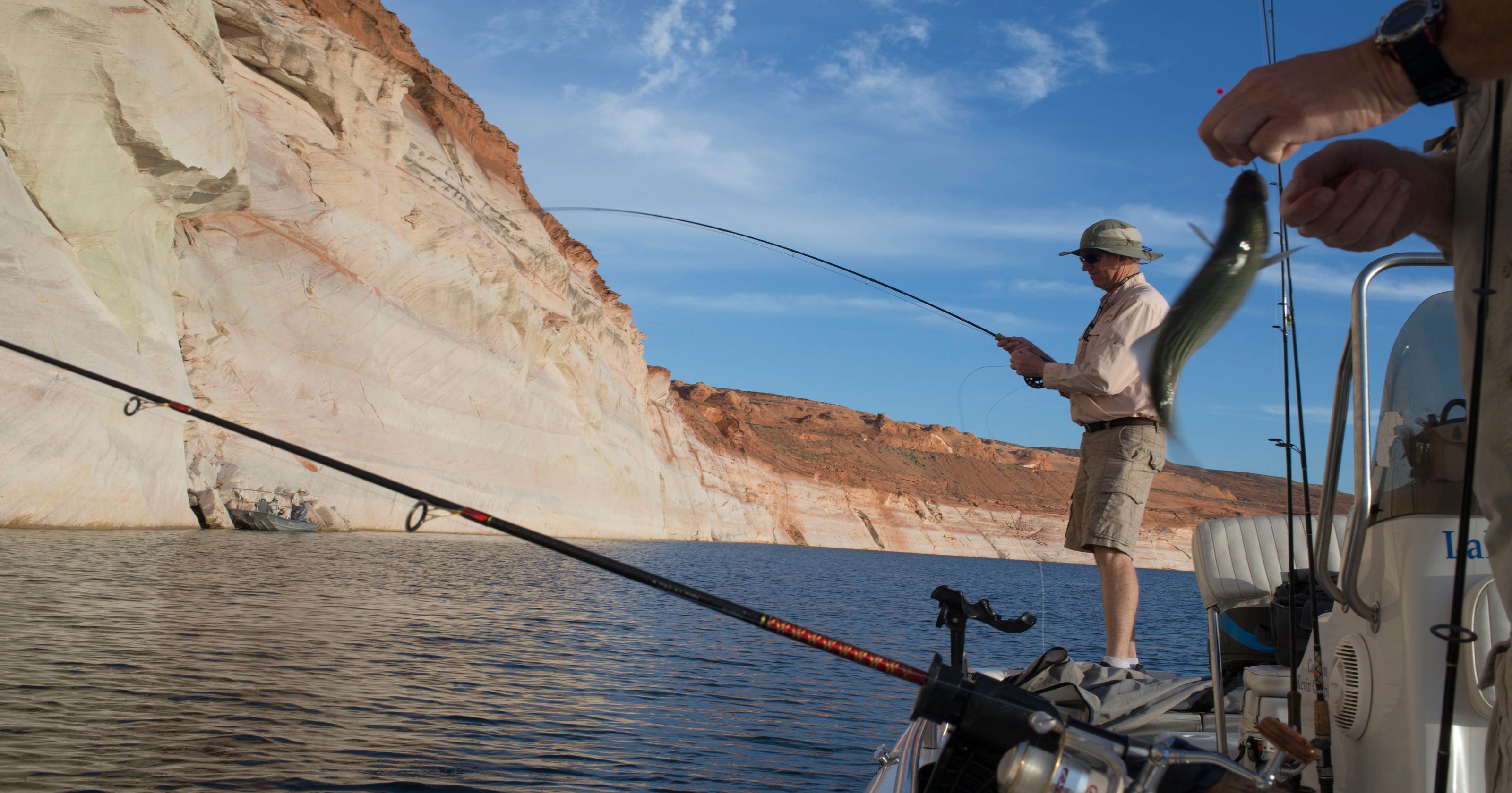 Utah Arizona Sync Licensing Rules For Lake Powell Fishing