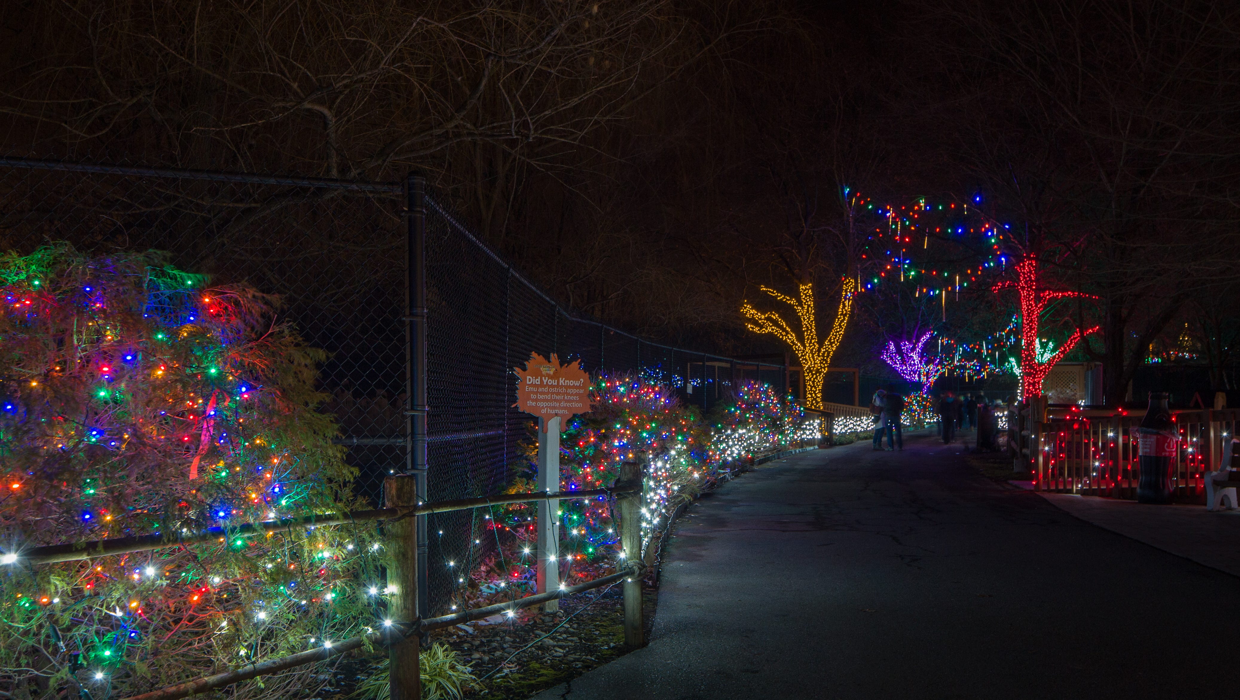 6 ways to get in Christmas spirit in Lehigh Valley