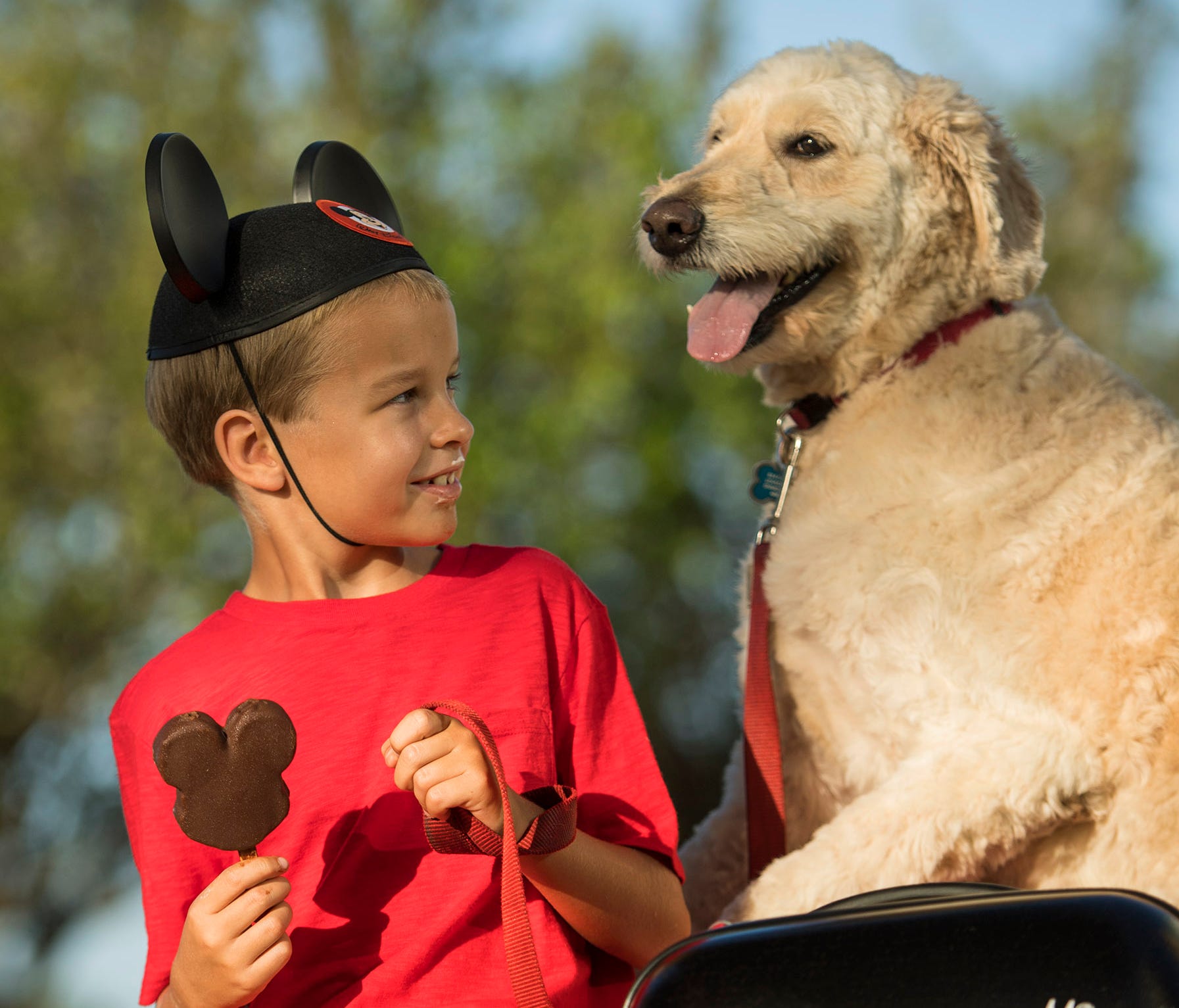 Walt Disney World Resort now welcomes guests and their dogs to four select properties.