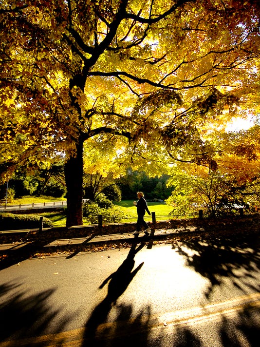 A Few Ideas About Where To See Fall Leaves