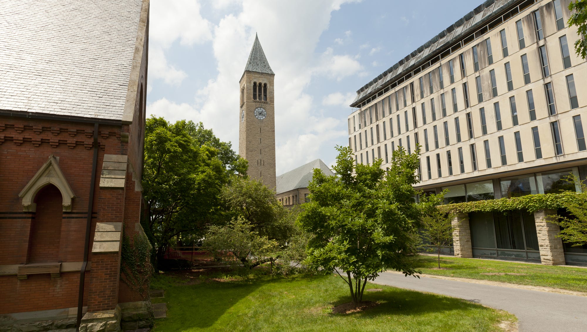 What You Need To Know About Cornell 150 Facts