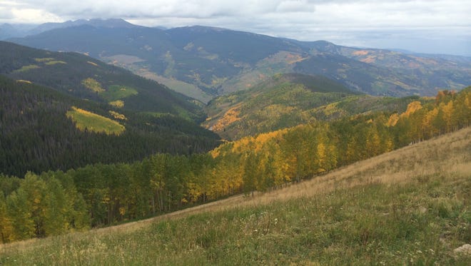 1. An autumn vista of golden aspens somewhere around 10,000 feet in elevation.