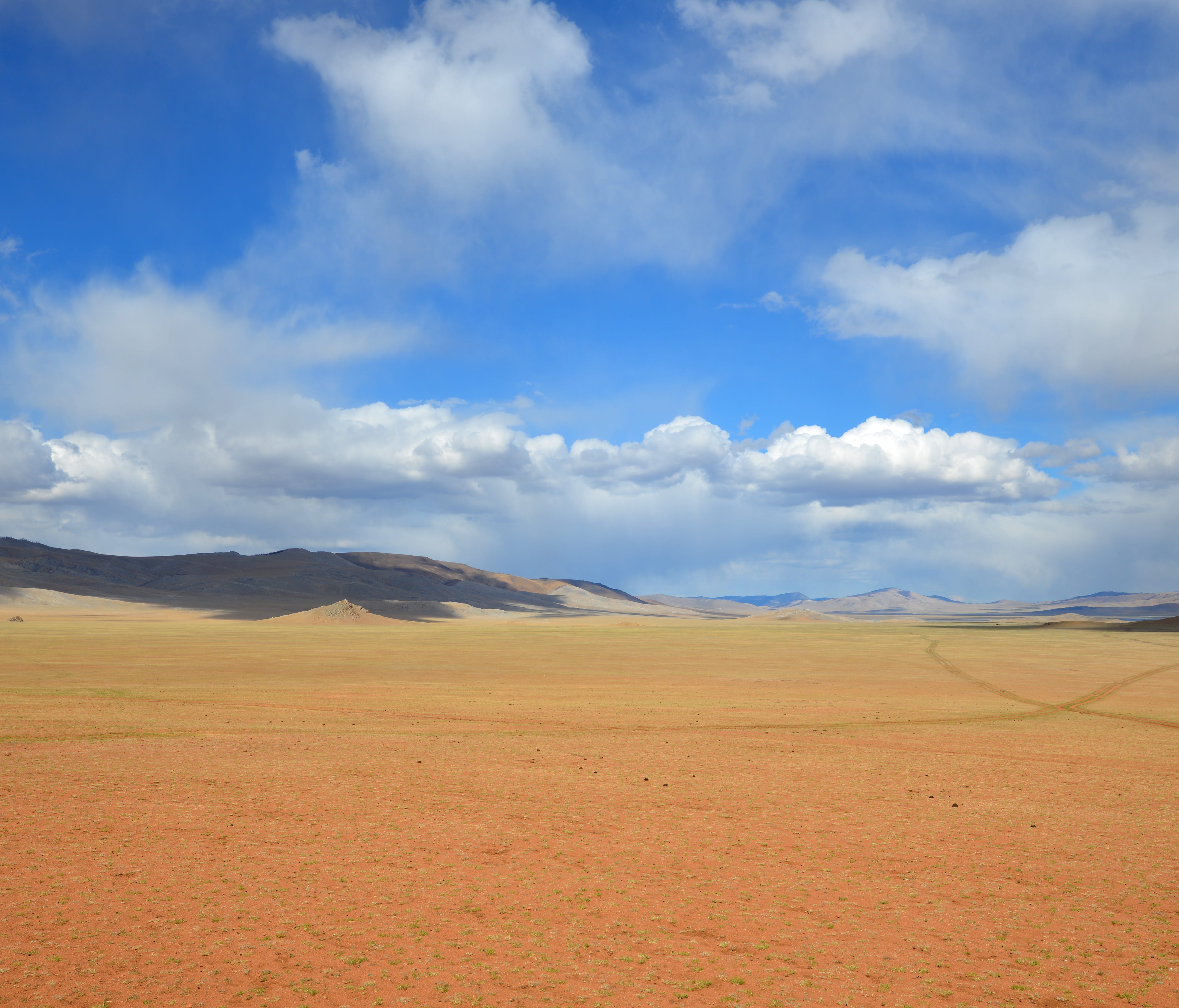 Thousands of square miles of Mongolia consists of sparsely populated, grassy steppe.