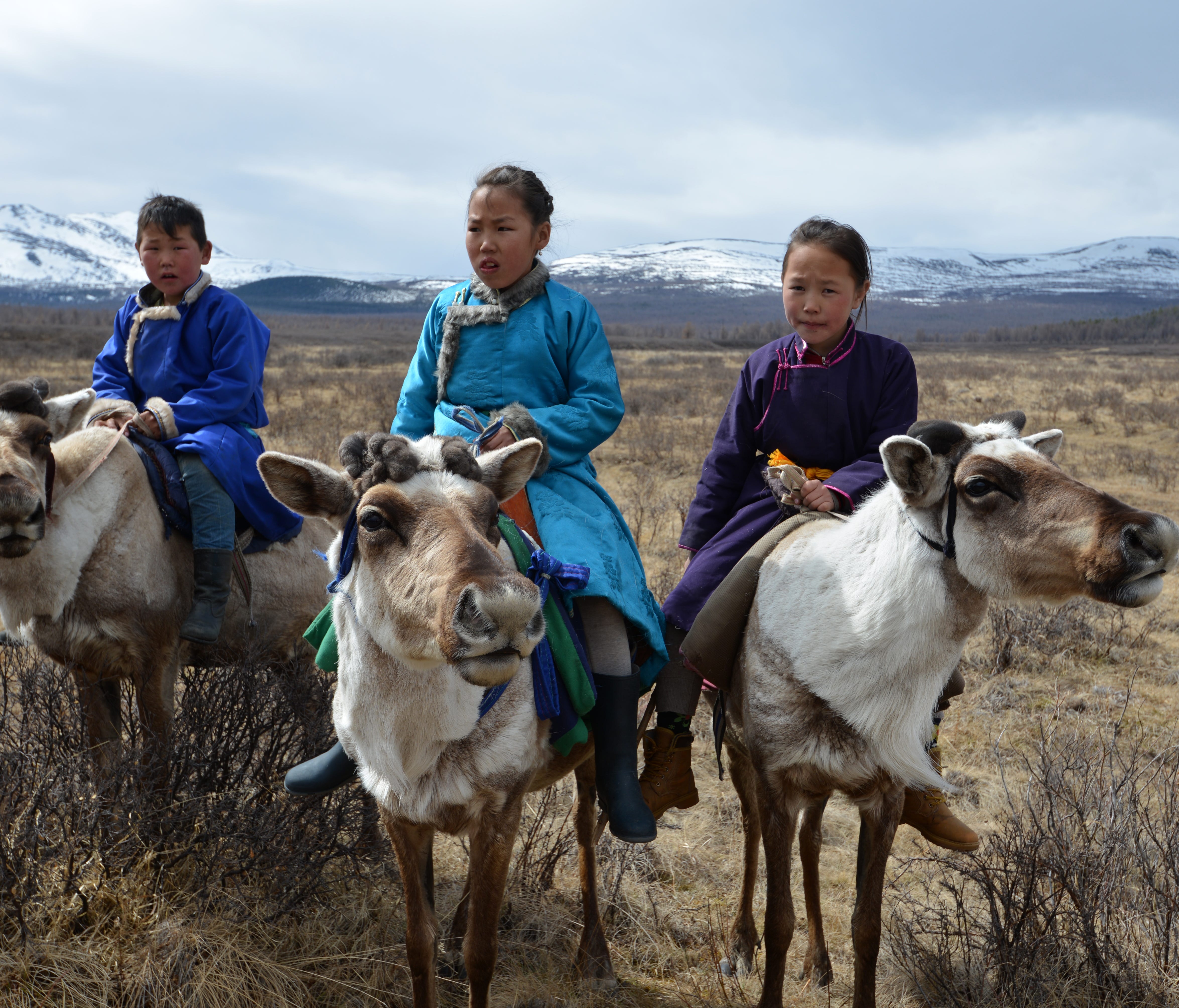 Three young members of the East Taiga community of Tsaatan reindeer herders show off their riding skills.