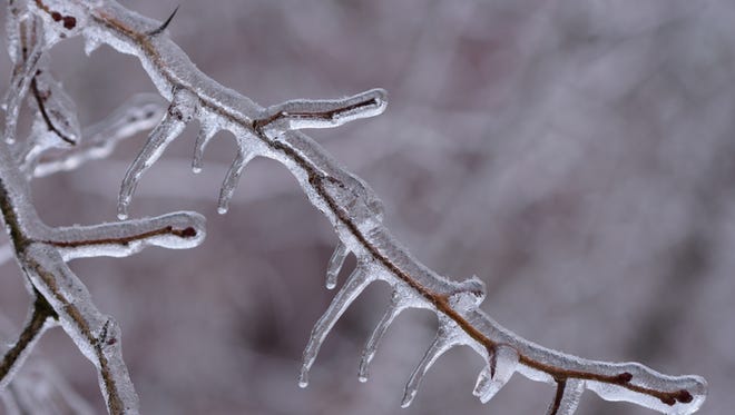 Michigan Weather 10 Counties Targeted By Major Ice Storm
