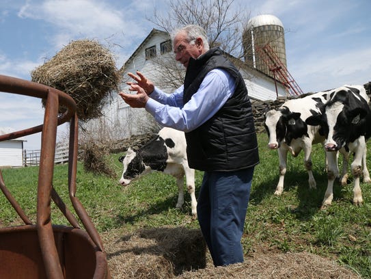 Sam Simon feeds his cows hay at Plankenhorn Farms in