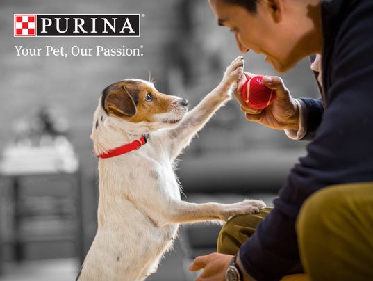 Lawsuit claims Purina brand is killing dogs