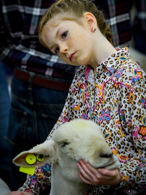 Judy Zimmerman, 9, and her lamb wait for their turn in the ring for the Junior Market Lamb Show & Showmanship judging at the 100th PA Farm Show in Harrisburg, Sunday January 10, 2016. (John A. Pavoncello - The York Dispatch)