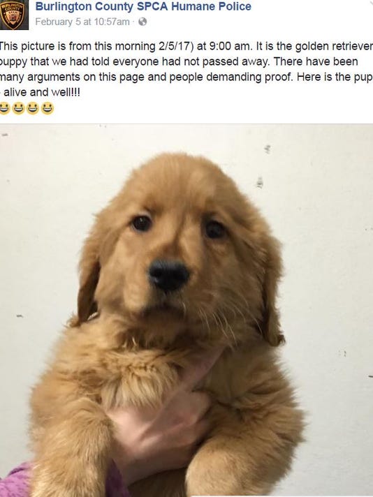 Deadly Puppy Disease Closes Pet Store