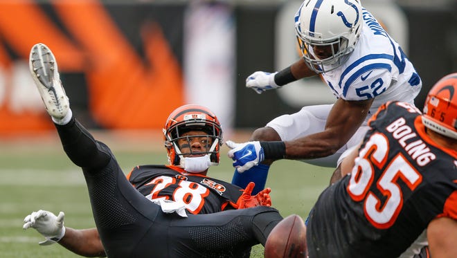 Cincinnati Bengals running back Joe Mixon (28) fumbles the ball after a run and the Indianapolis Colts recovered at Paul Brown Stadium in Cincinnati on Sunday, Oct. 29, 2017. 