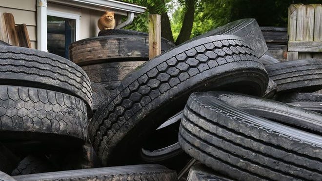 A cat sits atop a mound of tires at a vacant rental house at 2510 W. Madison St.