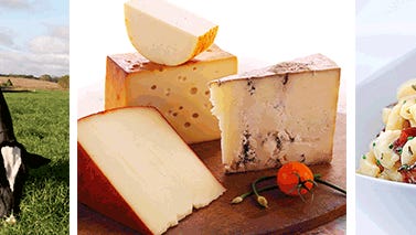 After a trading holiday on Monday of this week for Martin Luther King Day, activity for dairy commodities in the spot market at the CME Group was at moderate levels on Tuesday and Wednesday.