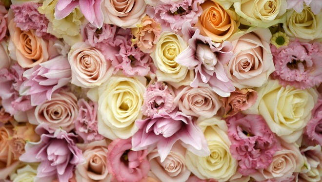 Flowers grown in Holland are on display at the Royal Horticultural Society exhibition.