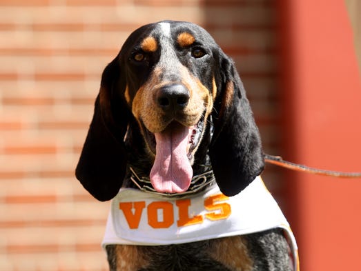 And Finally Happy Early Birthday Smokey