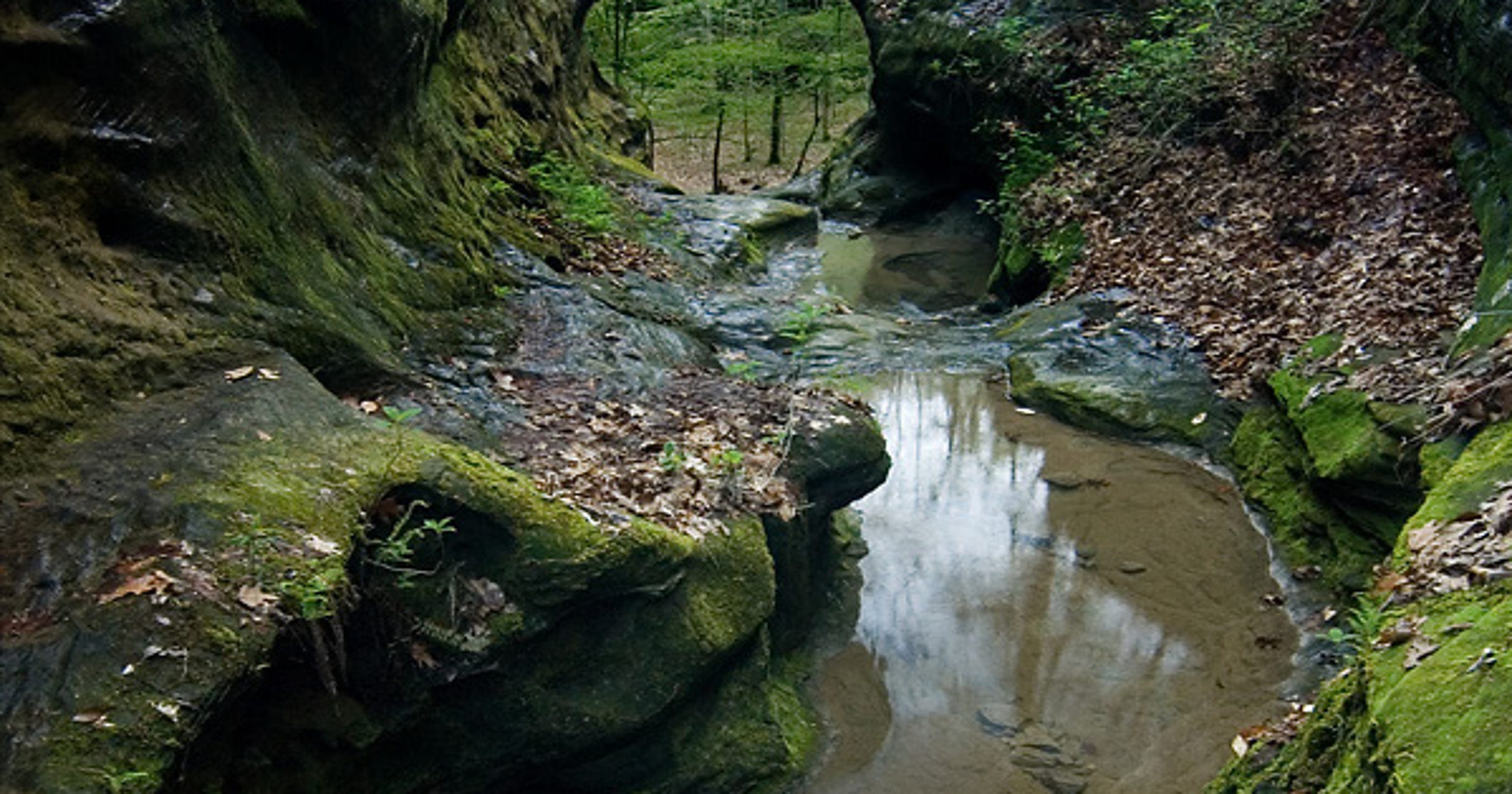 Little Grand Canyon Trail A Gem In Shawnee National Forest