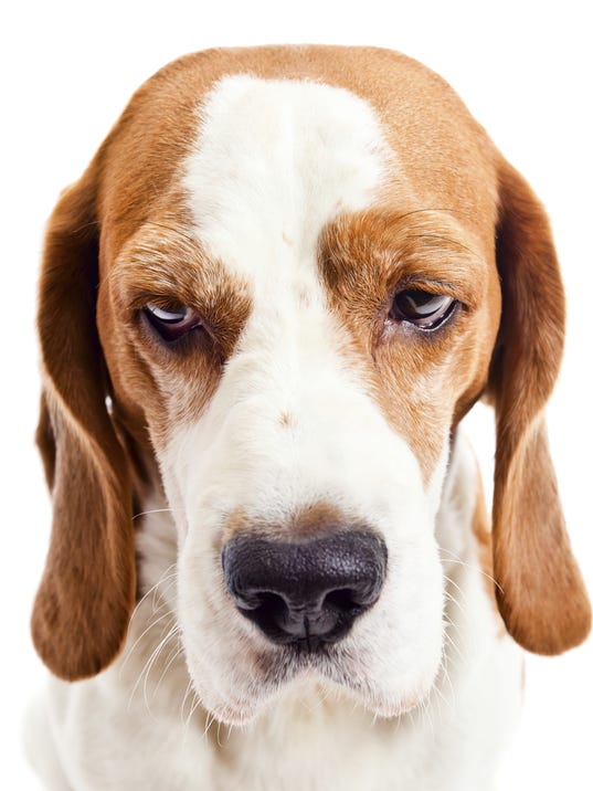 The Buzz: Zoom Room to close on Sunday