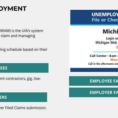 A screenshot of the Michigan Unemployment Insuranc