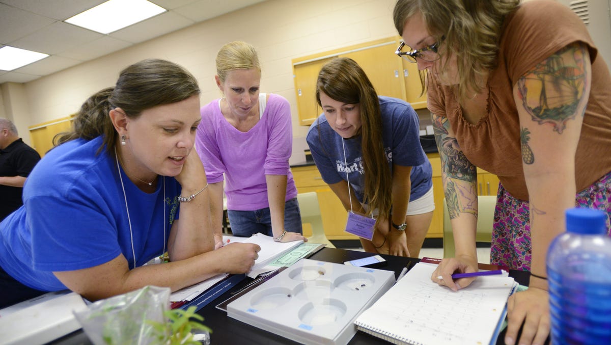 High School teachers receive AP training at Millsaps College Gallery