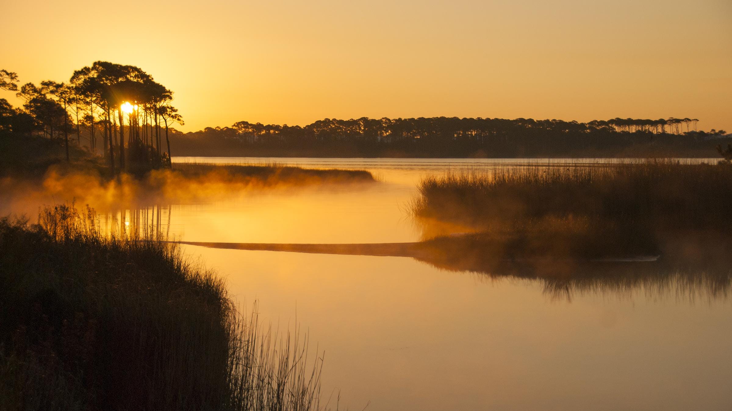 Top 7 beaches near Tallahassee