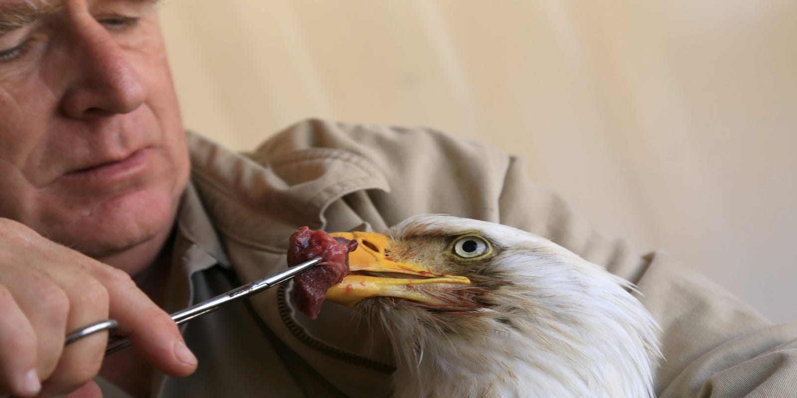 The Man With The Eagle