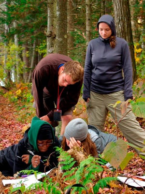 Working at Stratton Pond: UVM LANDS program students, clockwise from top left, James Pospishil, Sarah Rosenblatt, Shannon Scarbrough, Flore Costumé.